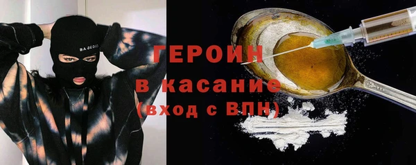 гашик Алексин