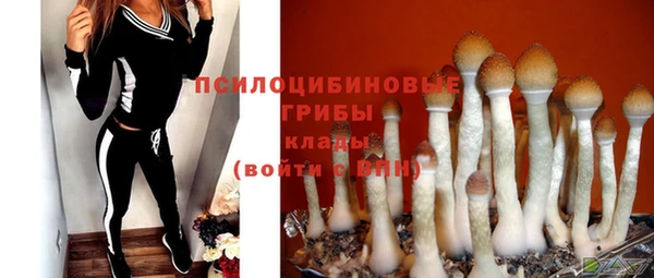 не бодяженный Алзамай