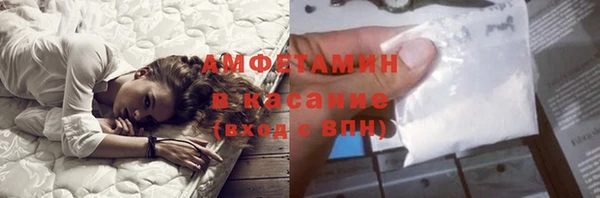 гашик Алексин