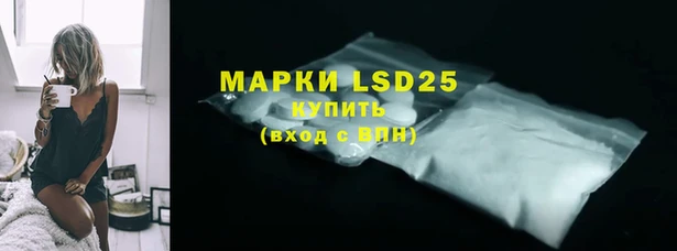 гашик Алексин