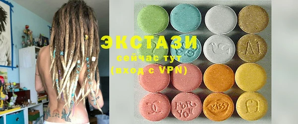 гашик Алексин