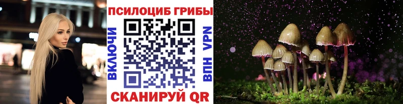 Псилоцибиновые грибы Magic Shrooms  как найти закладки  Юрьев-Польский 